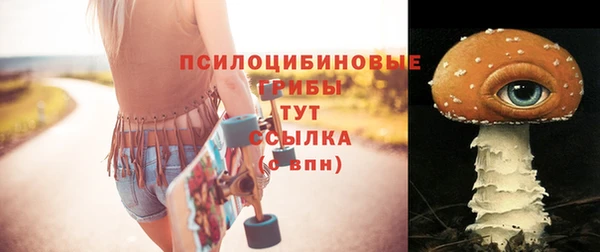 дмт Осинники