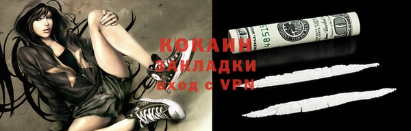 кокс Алексин