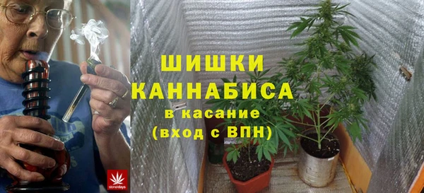 мдпв Осташков