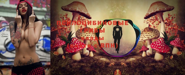 кокс Алексин