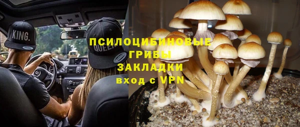 гашик Алзамай