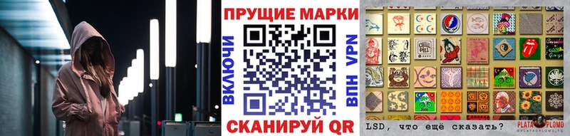где купить наркотик  Прохладный  darknet какой сайт  Марки N-bome 1,5мг 