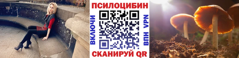 площадка официальный сайт  Прохладный  Галлюциногенные грибы прущие грибы 