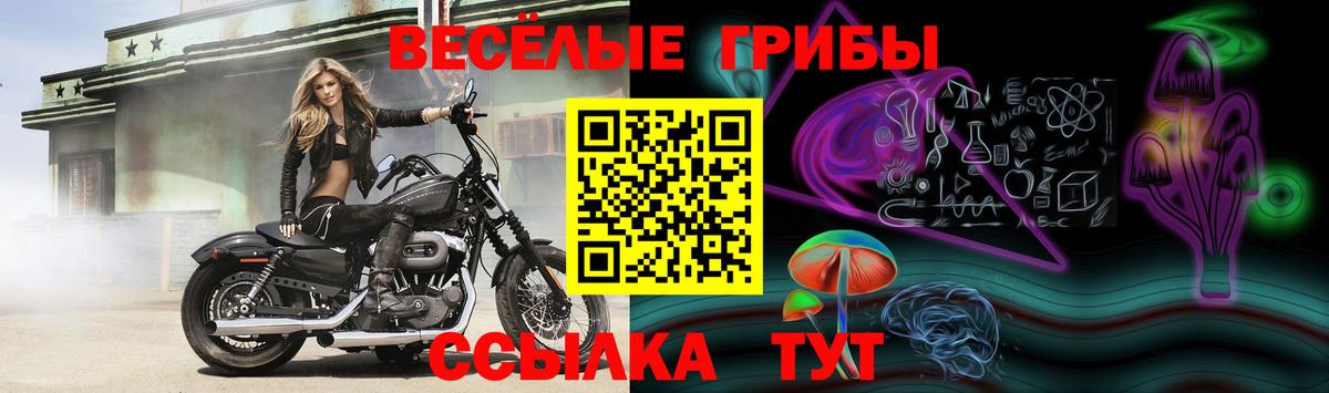 Галлюциногенные грибы ЛСД  Вход с VPN  где продают   Прохладный 